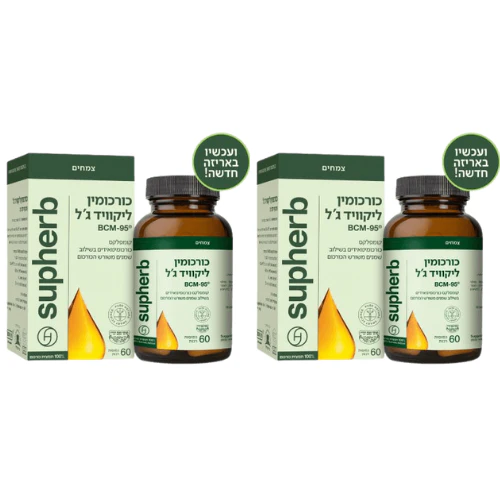 ืชืืื ืช ืืืฆืจ 1