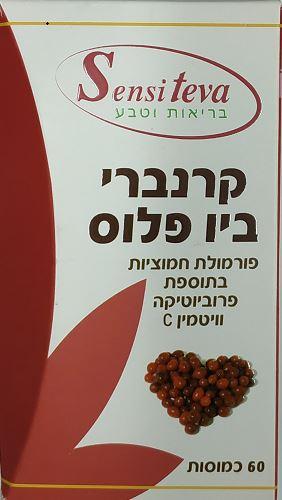 תמונה ממוזערת 1