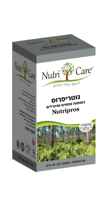 תמונת מוצר 1